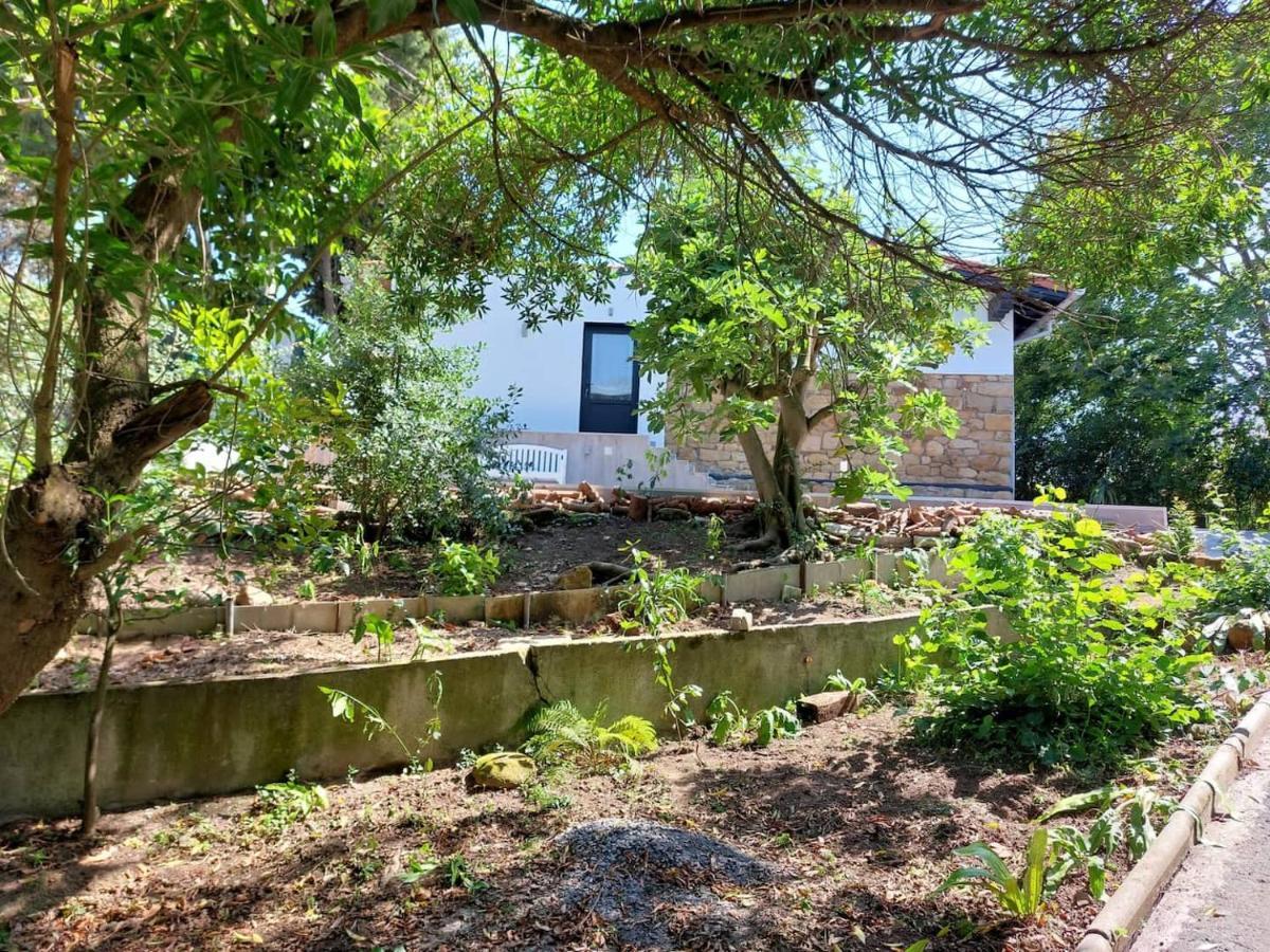 Getxo Garden Houses - The Suite Zewnętrze zdjęcie
